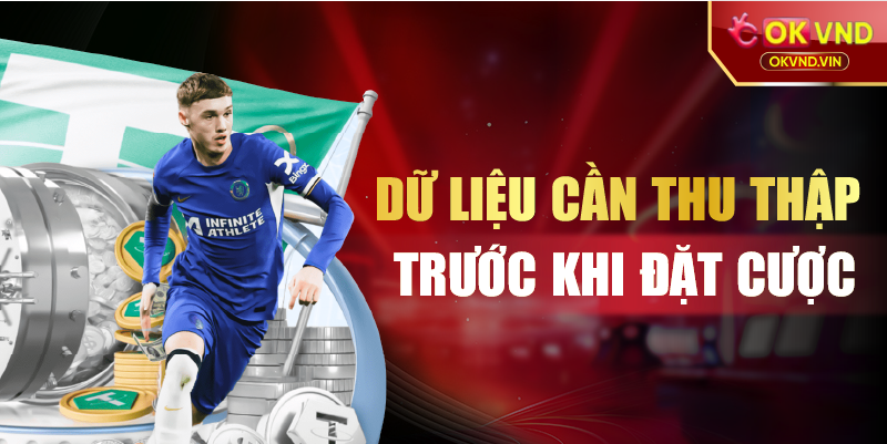 Dữ liệu cần thu thập trước khi đặt cược