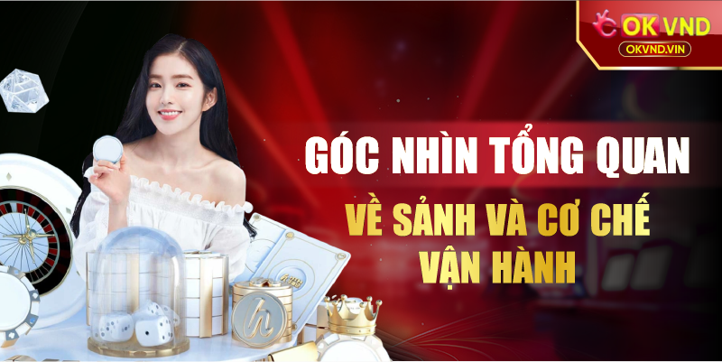 Góc nhìn tổng quan về sảnh và cơ chế vận hành