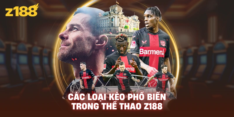 Các loại kèo phổ biến trong thể thao Z188