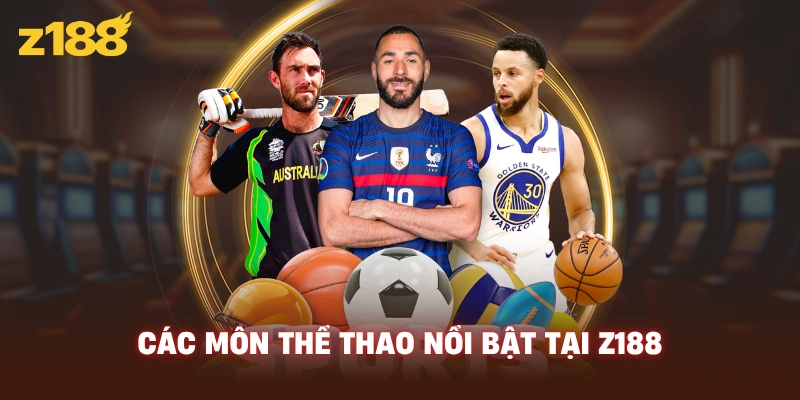 Các môn thể thao nổi bật tại Z188